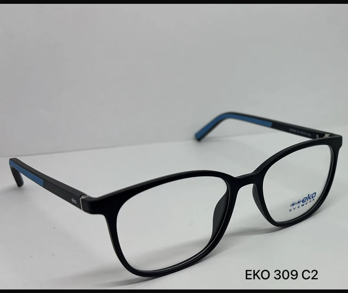 Eko EKO 309 C2